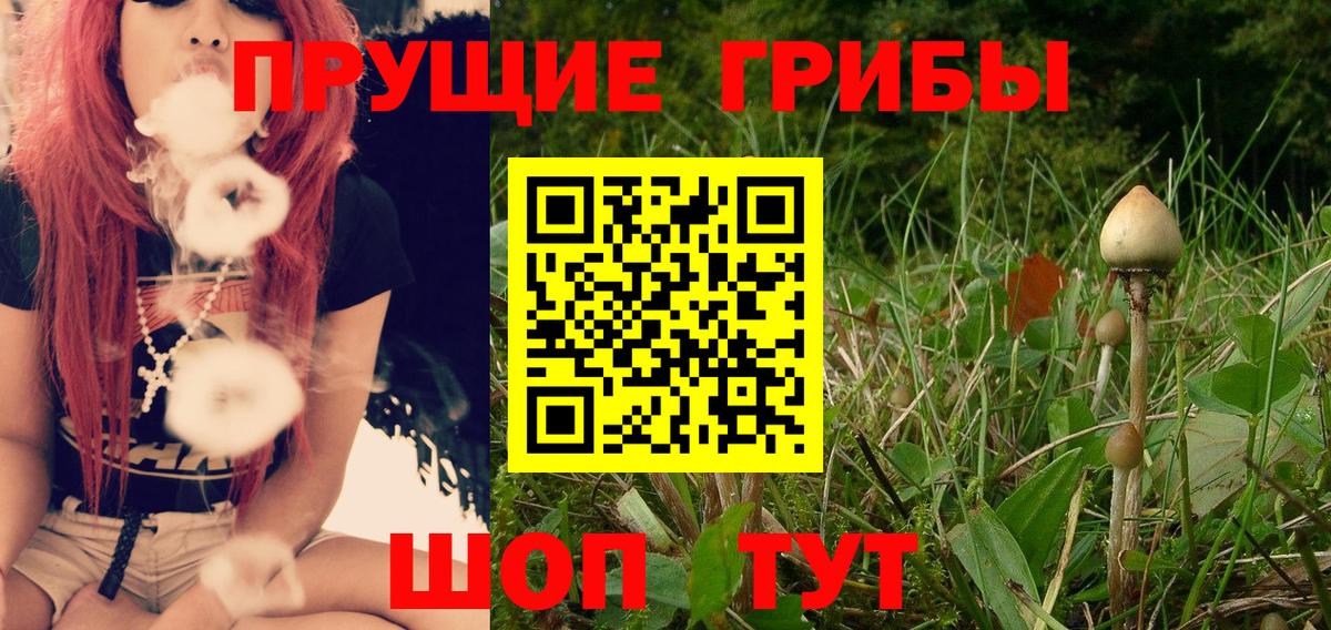 Галлюциногенные грибы Psilocybine cubensis  Вход с VPN  Бахчисарай 